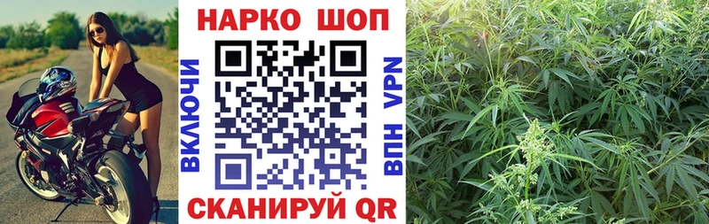  COCAIN Туран