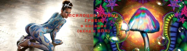 крисы Алексин
