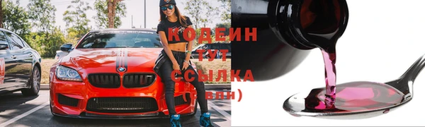 молекула духа Билибино